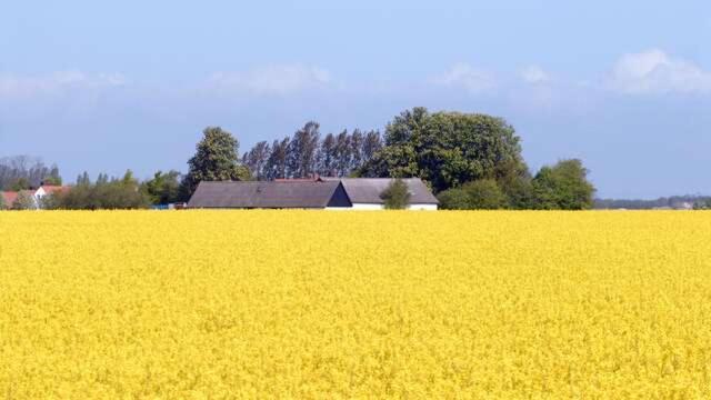 Hedmansgarden Vastra Torp Exterior foto